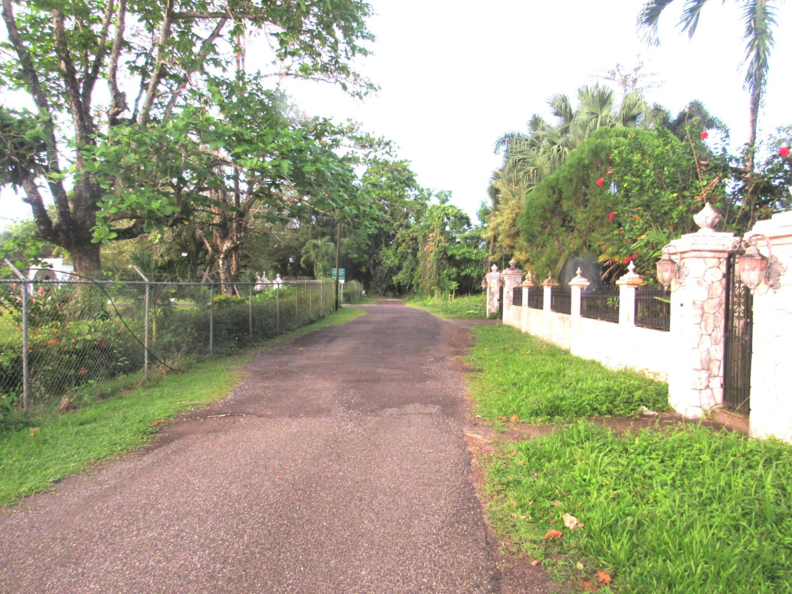 Sixth image of 7 Burlington Estate in St. Margaret's Bay, Portland, Jamaica - property is For Rent