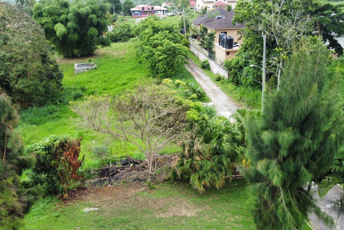 Eighth image of 8-5 West Road in Mandeville, Manchester, Jamaica - property is For Sale