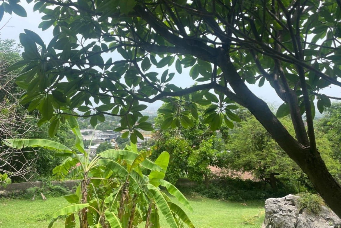 Fourteenth image of 2-9 West Armour Heights in Kingston 8, St. Andrew, Jamaica - property is For Sale
