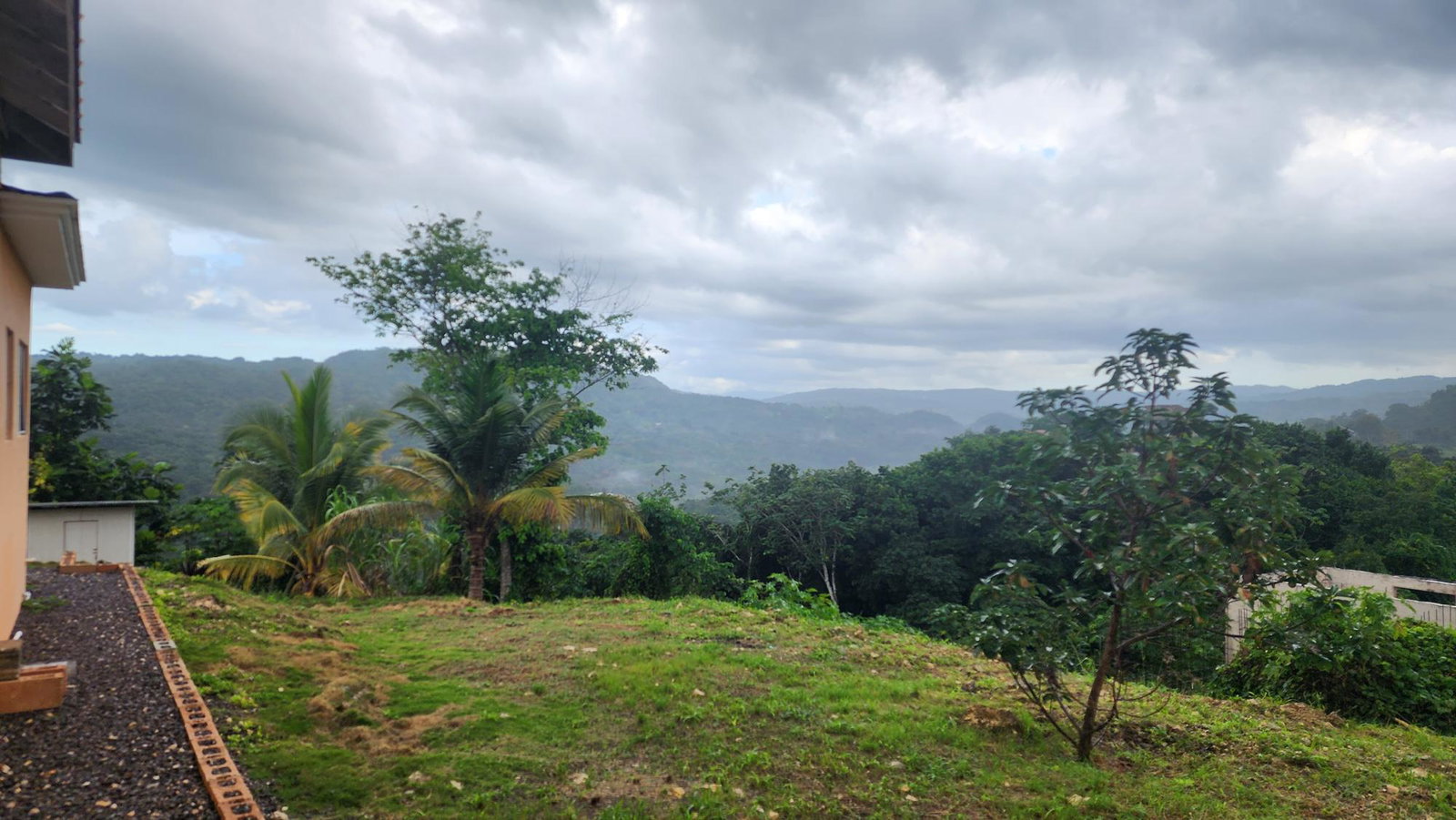 Twenty-Second image of Lot #43-richard's Pen, Farm Hill, St. Mary in Gayle, St. Mary, Jamaica - property is For Sale