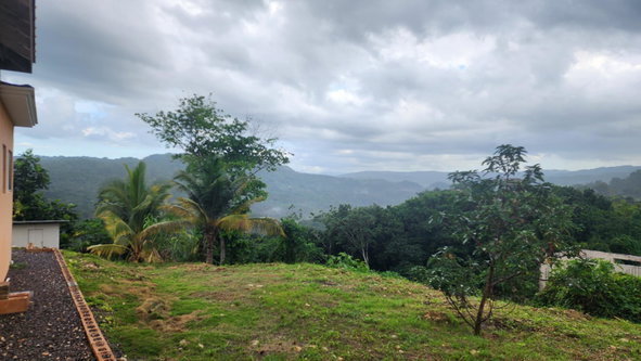 Twenty-Second image of Lot #43-richard's Pen, Farm Hill, St. Mary in Gayle, St. Mary, Jamaica - property is For Sale