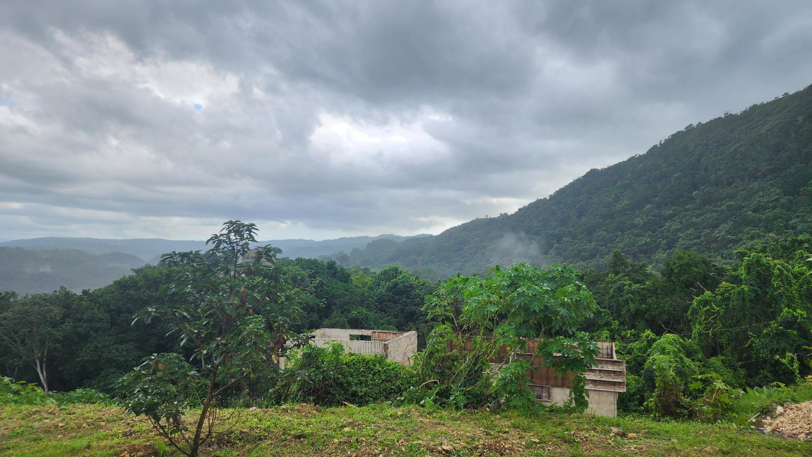 Twenty-Third image of Lot #43-richard's Pen, Farm Hill, St. Mary in Gayle, St. Mary, Jamaica - property is For Sale