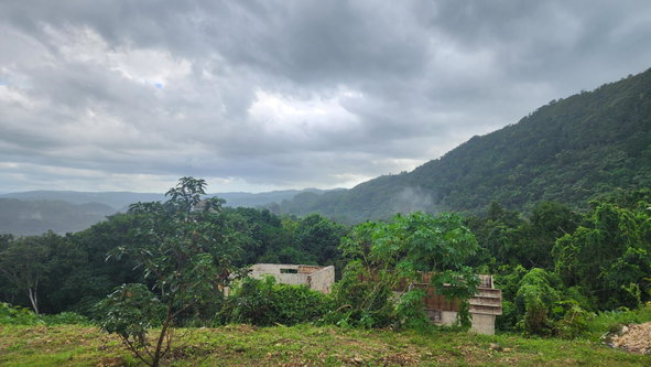 Twenty-Third image of Lot #43-richard's Pen, Farm Hill, St. Mary in Gayle, St. Mary, Jamaica - property is For Sale