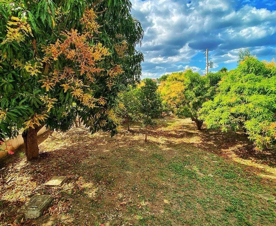 Ninth image of 6 Ingle Mews, May Pen p o in May Pen, Clarendon, Jamaica - property is For Sale