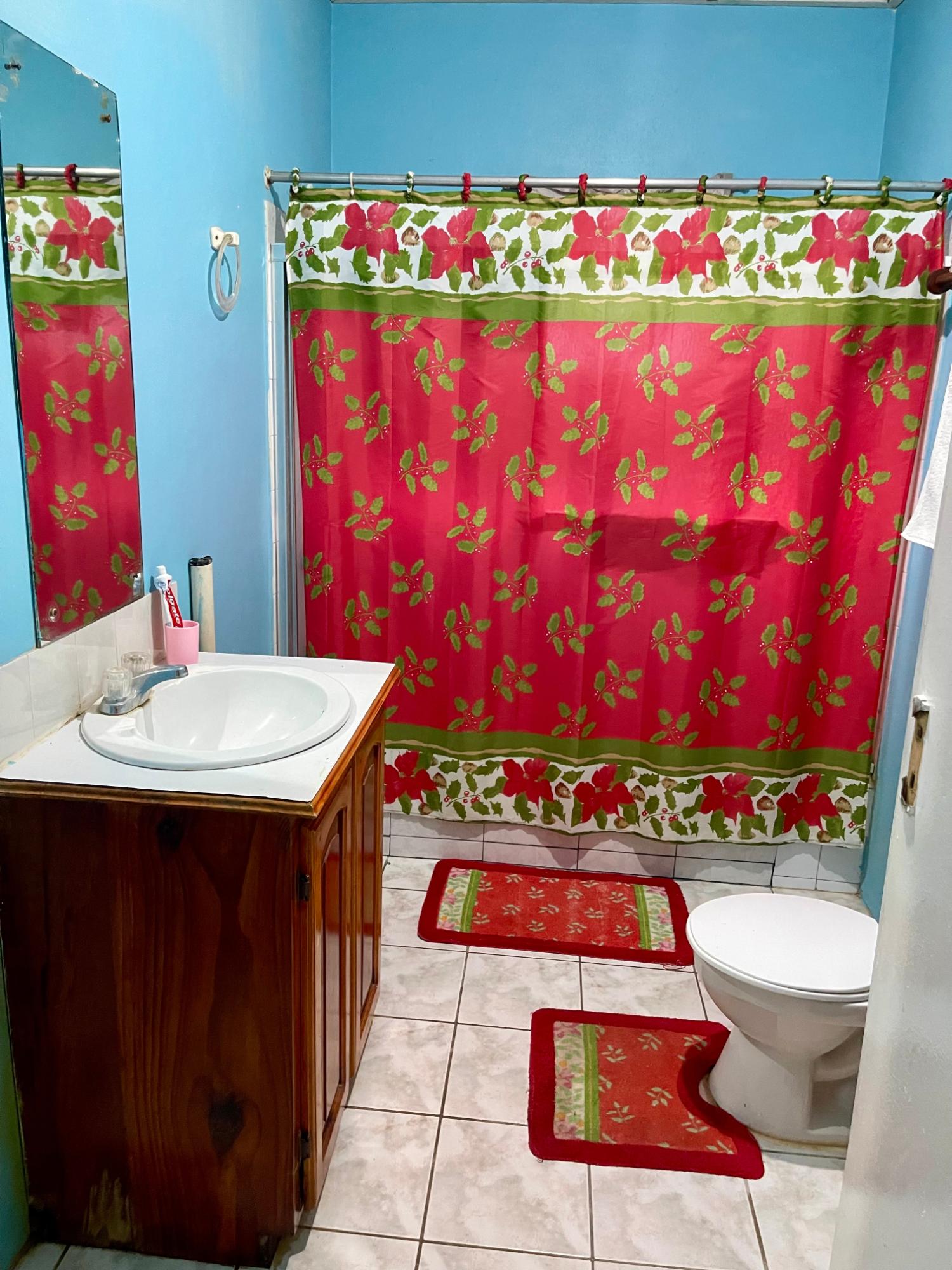 Twenty-Ninth image of 68 George’s Pen Road in Four Paths, Clarendon, Jamaica - property is For Sale