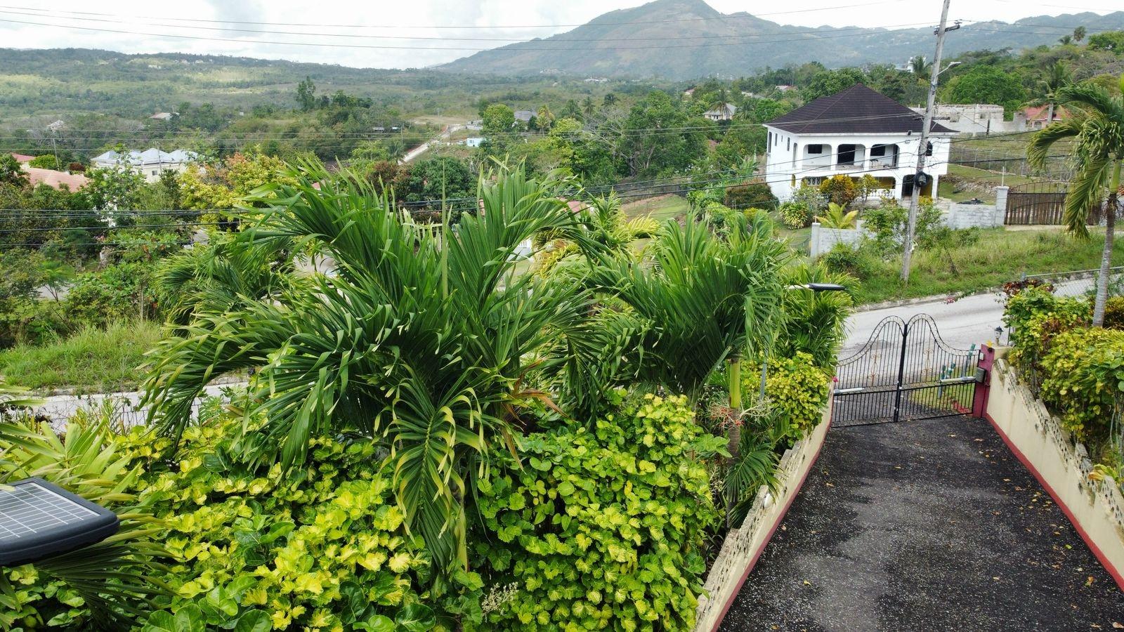 Eleventh image of Lot 3 Williamsfield in Mandeville, Manchester, Jamaica - property is For Sale