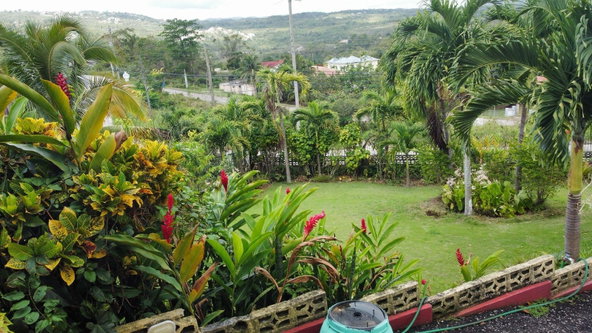 Fourteenth image of Lot 3 Williamsfield in Mandeville, Manchester, Jamaica - property is For Sale