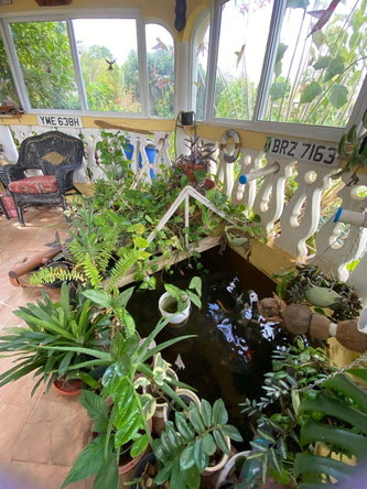 Twenty-First image of Lot 3 Williamsfield in Mandeville, Manchester, Jamaica - property is For Sale