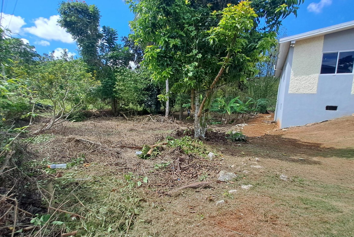 Second image of Lot 7 Royal Flat in Royal Flat, Manchester, Jamaica - property is For Sale