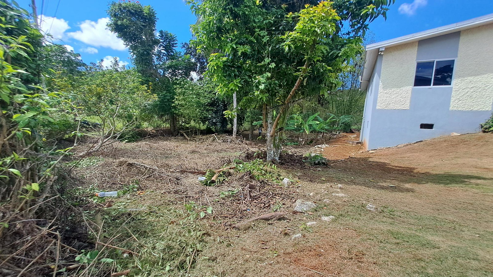 Second image of Lot 7 Royal Flat in Royal Flat, Manchester, Jamaica - property is For Sale