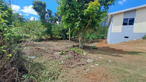 Second image of Lot 7 Royal Flat in Royal Flat, Manchester, Jamaica - property is For Sale