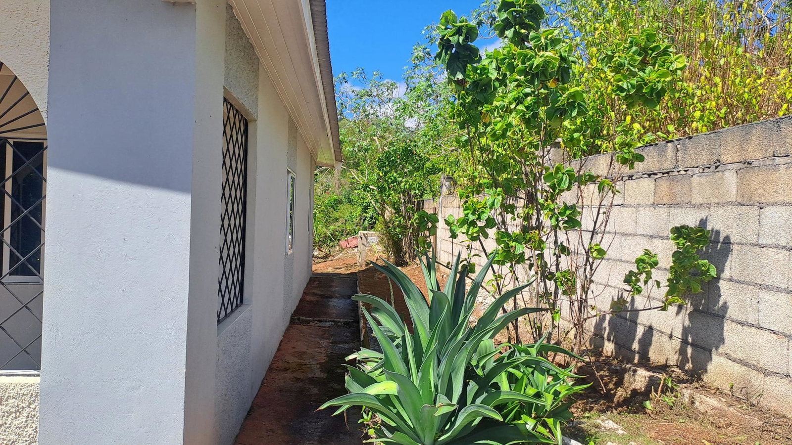 Twenty-Second image of Lot 7 Royal Flat in Royal Flat, Manchester, Jamaica - property is For Sale