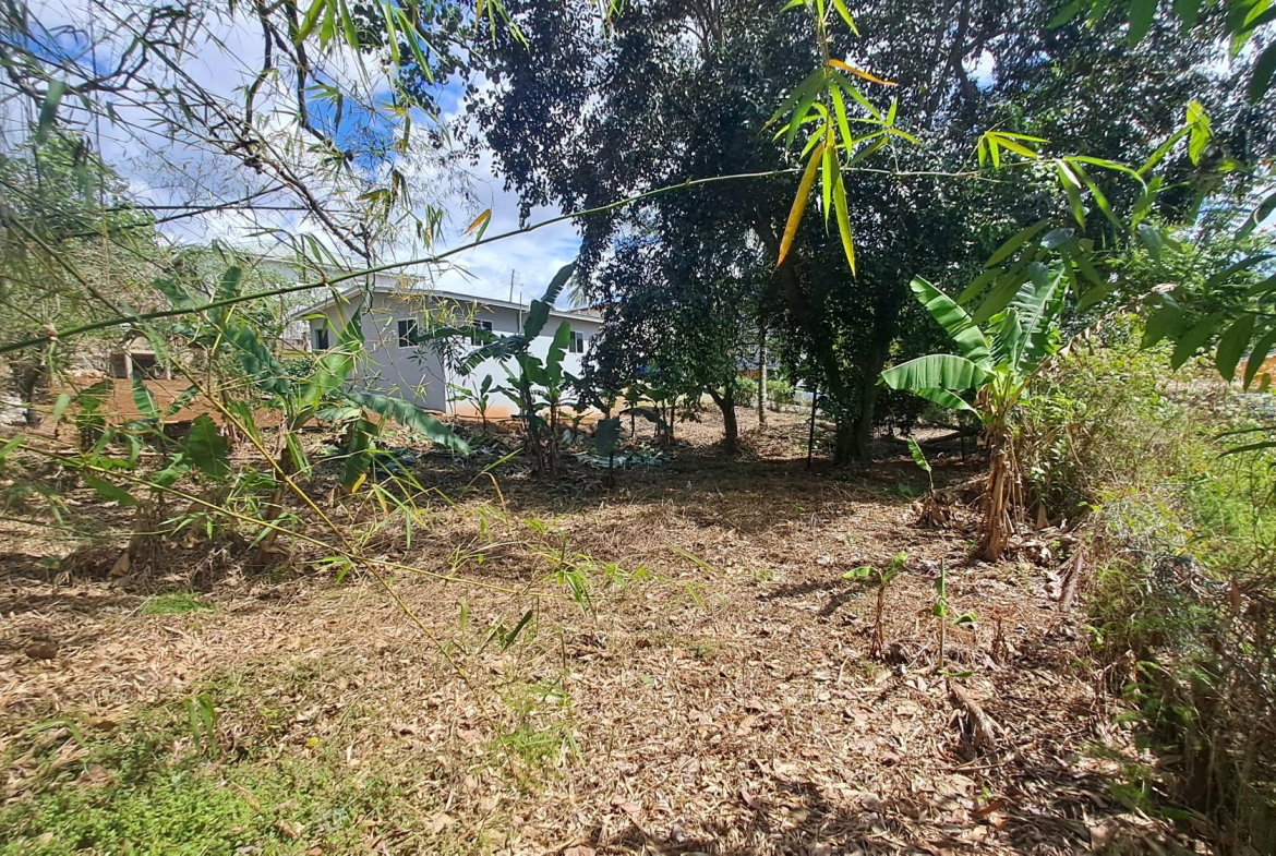 Twenty-Third image of Lot 7 Royal Flat in Royal Flat, Manchester, Jamaica - property is For Sale
