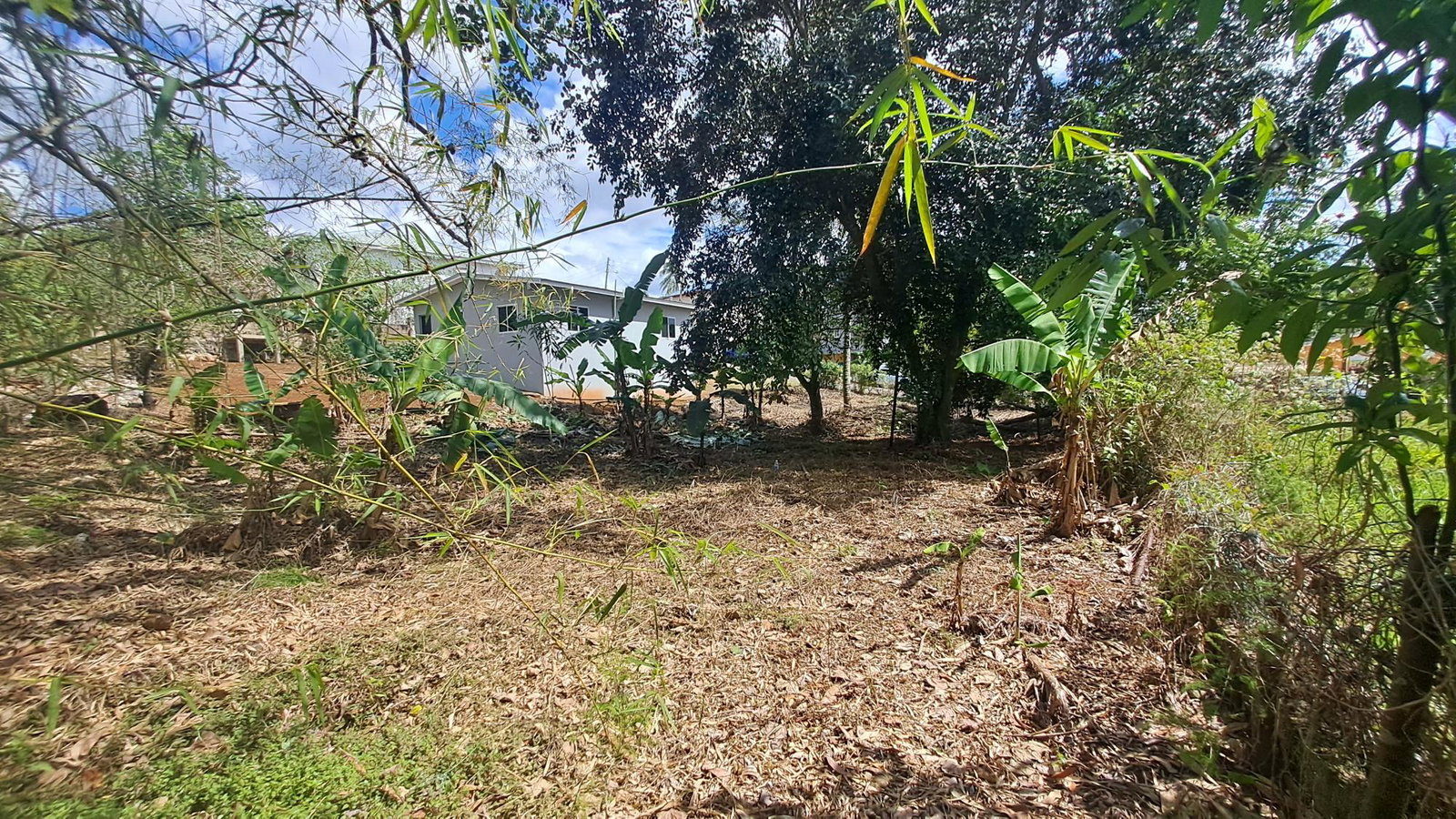 Twenty-Third image of Lot 7 Royal Flat in Royal Flat, Manchester, Jamaica - property is For Sale