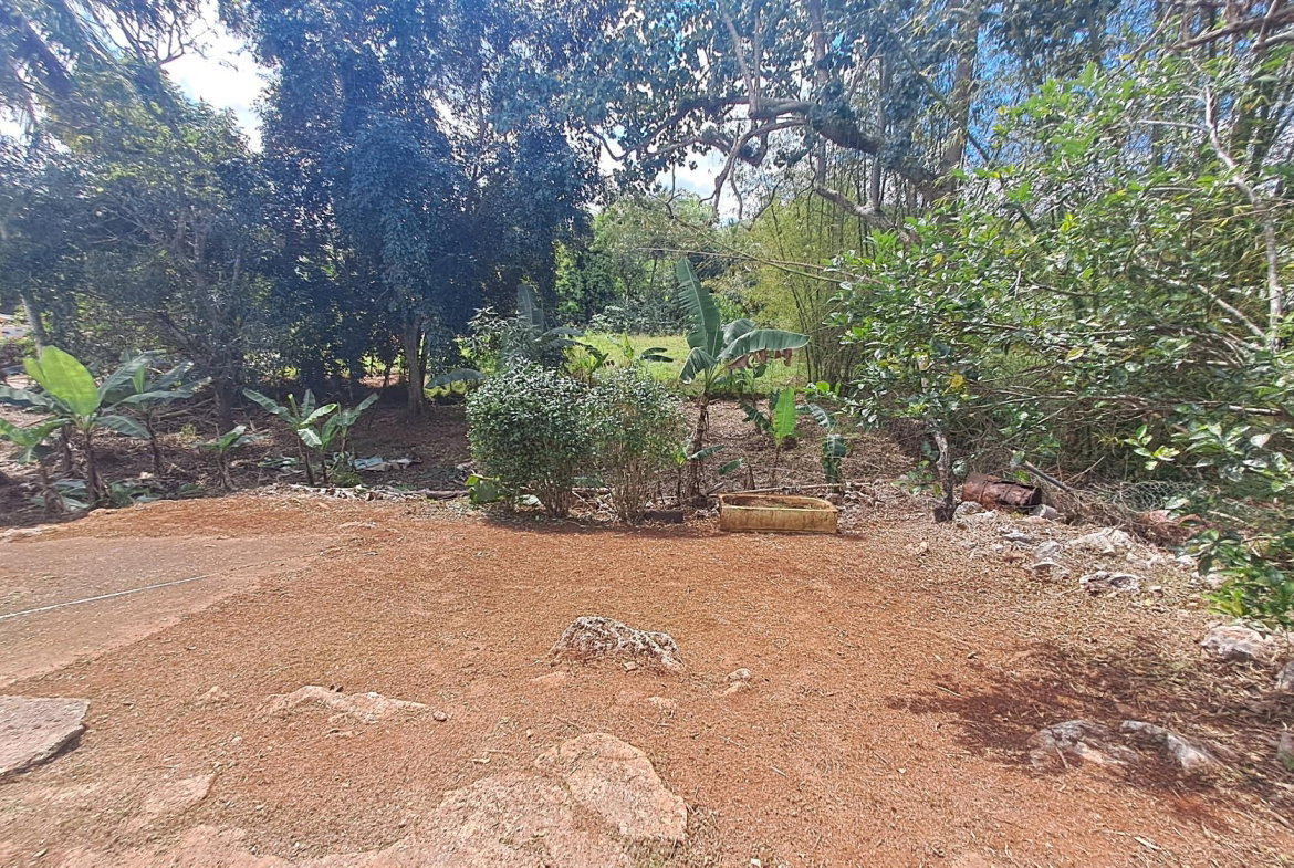 Twenty-Fourth image of Lot 7 Royal Flat in Royal Flat, Manchester, Jamaica - property is For Sale