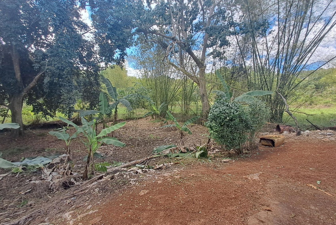 Twenty-Fifth image of Lot 7 Royal Flat in Royal Flat, Manchester, Jamaica - property is For Sale