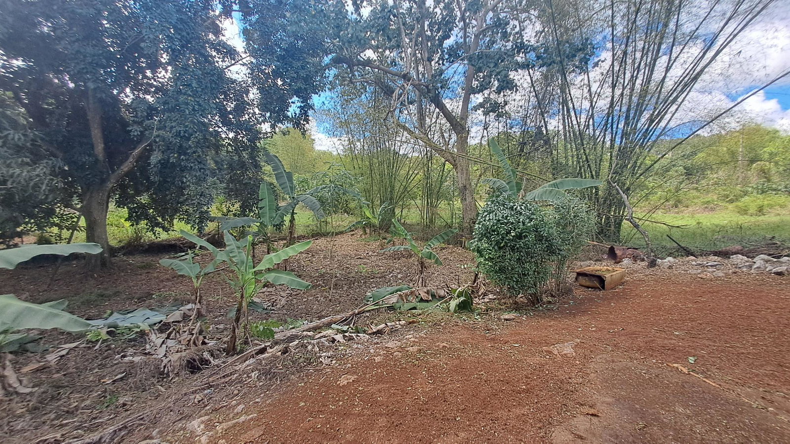 Twenty-Fifth image of Lot 7 Royal Flat in Royal Flat, Manchester, Jamaica - property is For Sale