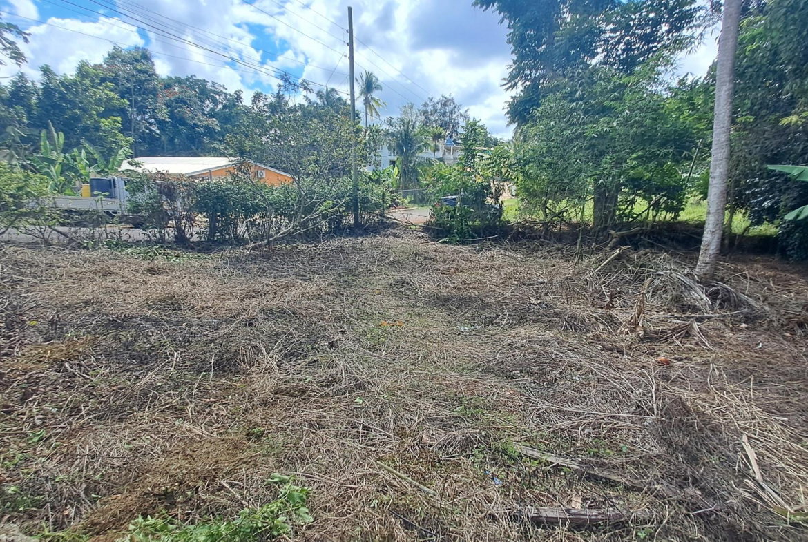 Twenty-Seventh image of Lot 7 Royal Flat in Royal Flat, Manchester, Jamaica - property is For Sale