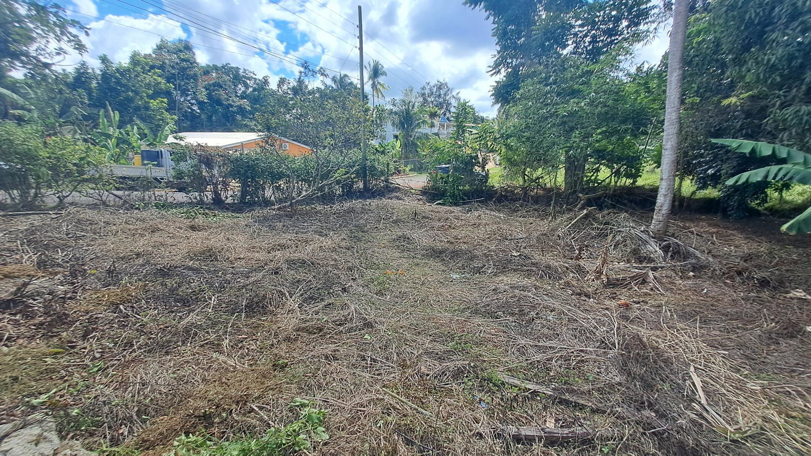 Twenty-Seventh image of Lot 7 Royal Flat in Royal Flat, Manchester, Jamaica - property is For Sale