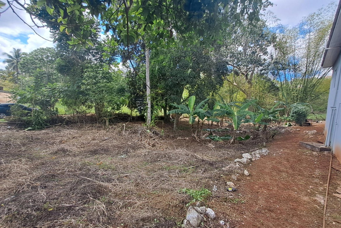 Twenty-Eighth image of Lot 7 Royal Flat in Royal Flat, Manchester, Jamaica - property is For Sale
