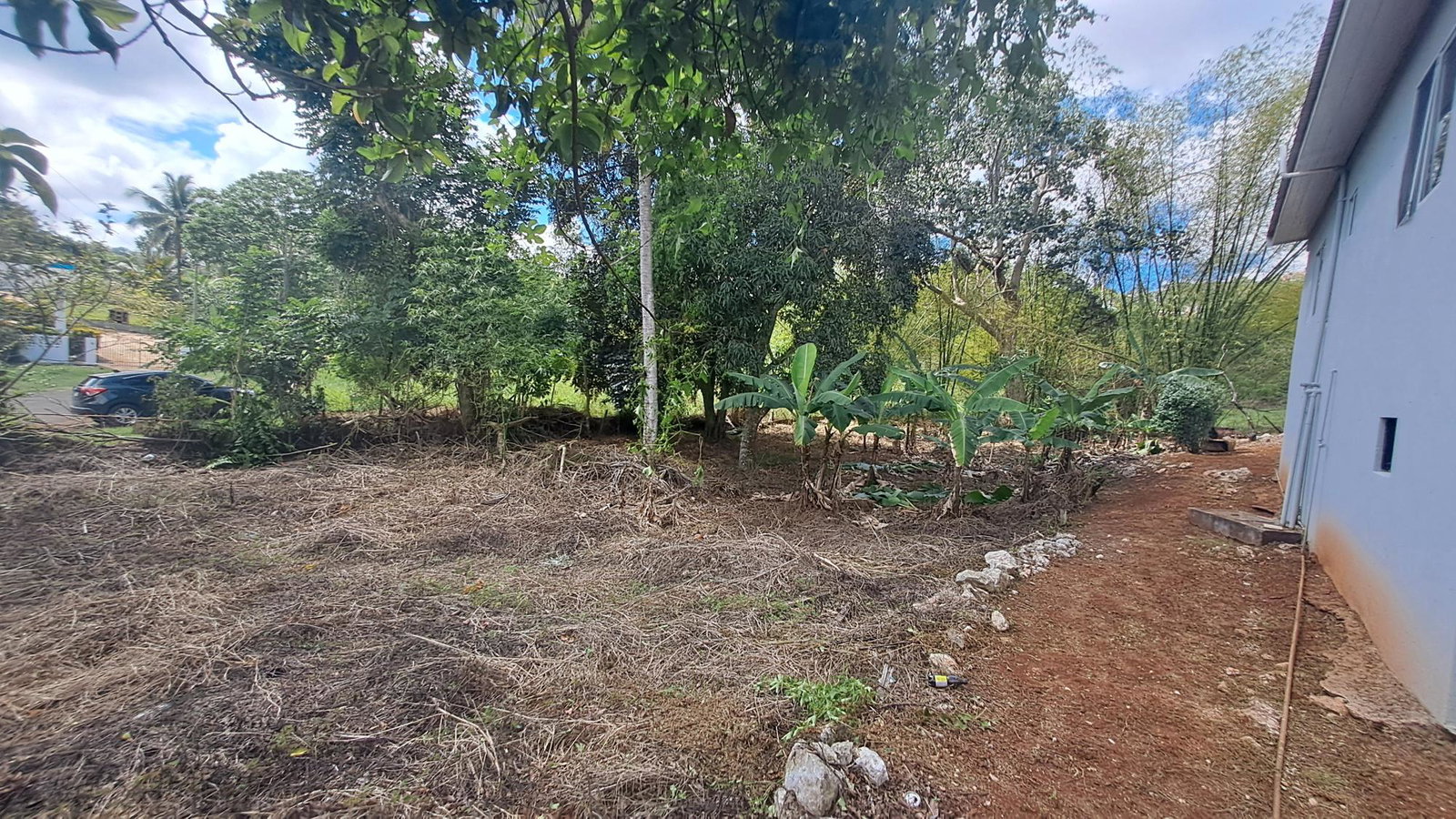 Twenty-Eighth image of Lot 7 Royal Flat in Royal Flat, Manchester, Jamaica - property is For Sale