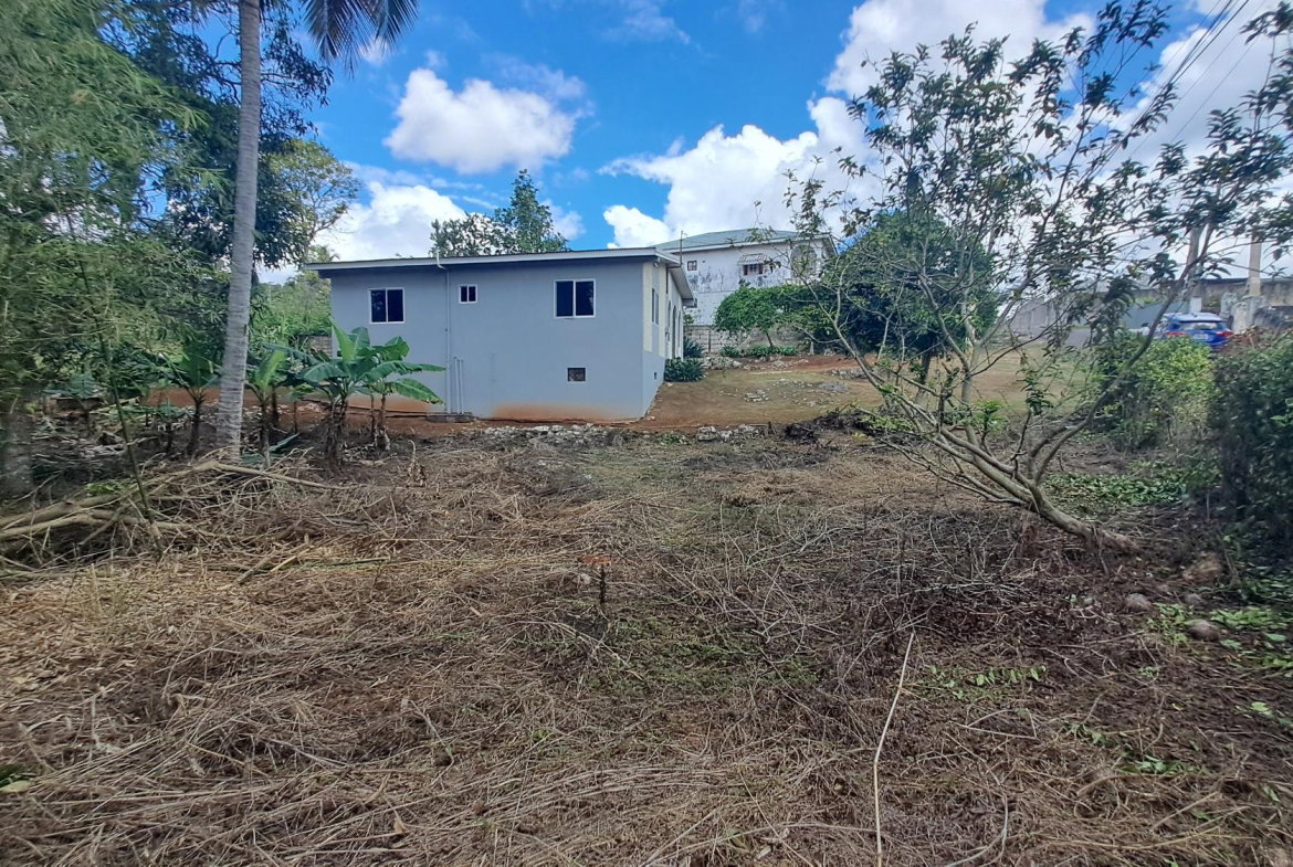 Thirtieth image of Lot 7 Royal Flat in Royal Flat, Manchester, Jamaica - property is For Sale