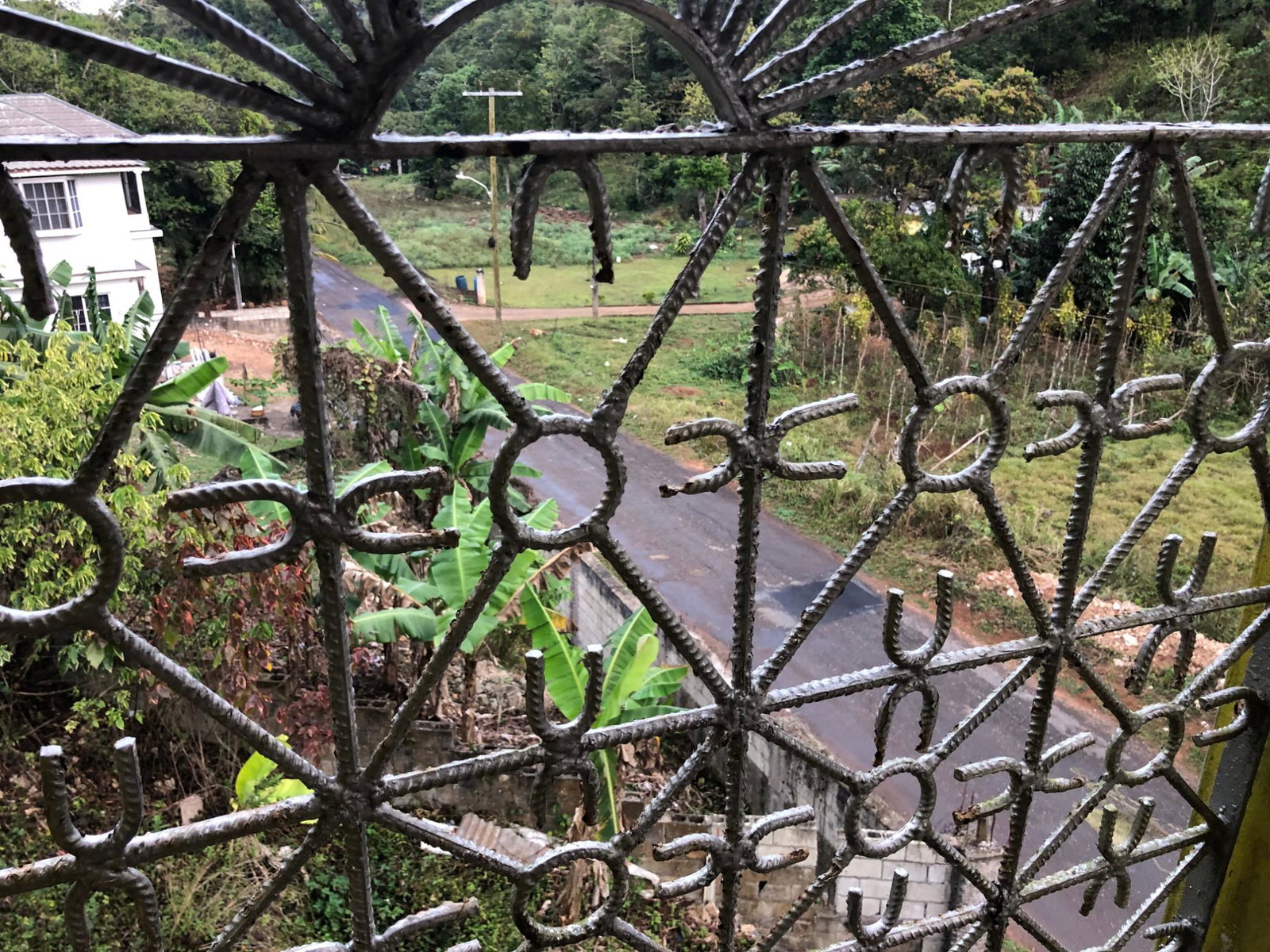 Seventeenth image of pt of Glasgow, Alexandria in Alexandria, St. Ann, Jamaica - property is For Sale