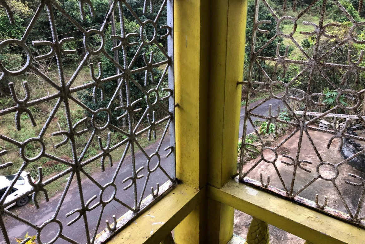 Eighteenth image of pt of Glasgow, Alexandria in Alexandria, St. Ann, Jamaica - property is For Sale