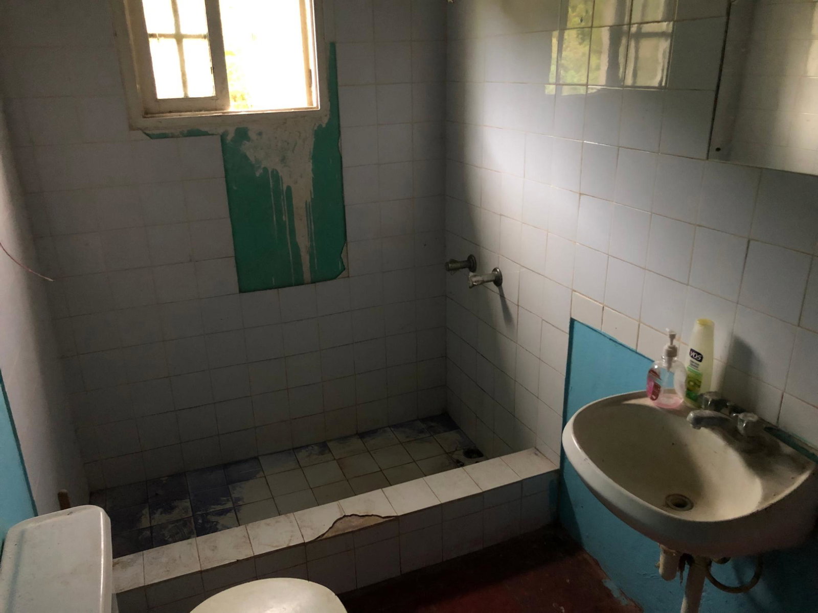 Twenty-Fourth image of pt of Glasgow, Alexandria in Alexandria, St. Ann, Jamaica - property is For Sale
