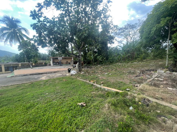 Fourteenth image of Wakefield Linstead in Wakefield, St. Catherine, Jamaica - property is For Sale