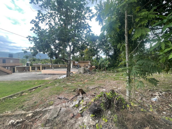 Fifteenth image of Wakefield Linstead in Wakefield, St. Catherine, Jamaica - property is For Sale
