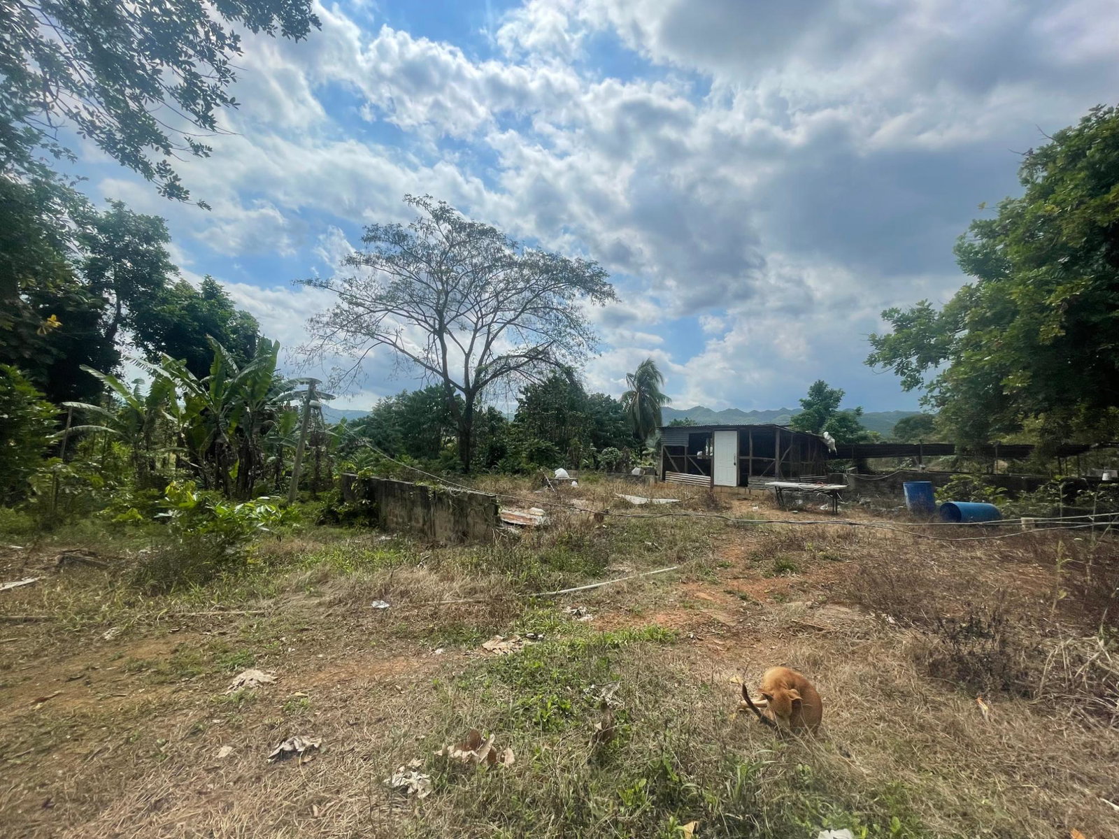 Seventeenth image of Wakefield Linstead in Wakefield, St. Catherine, Jamaica - property is For Sale