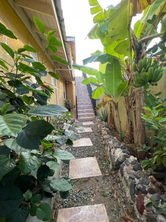 Sixth image of 134 Sandstone Drive in Greater Portmore, St. Catherine, Jamaica - property is For Rent