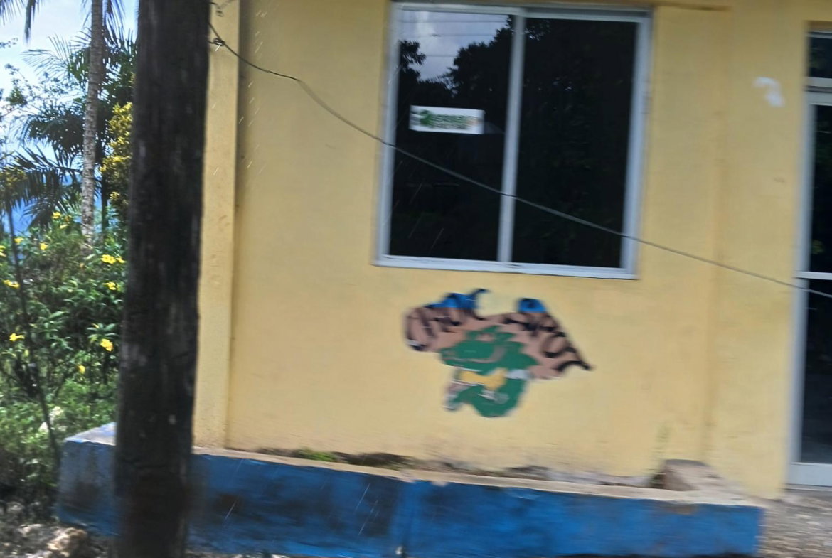 Second image of Ulster Spring in Albert Town, Trelawny, Jamaica - property is For Sale