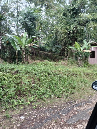 Third image of Ulster Spring in Albert Town, Trelawny, Jamaica - property is For Sale