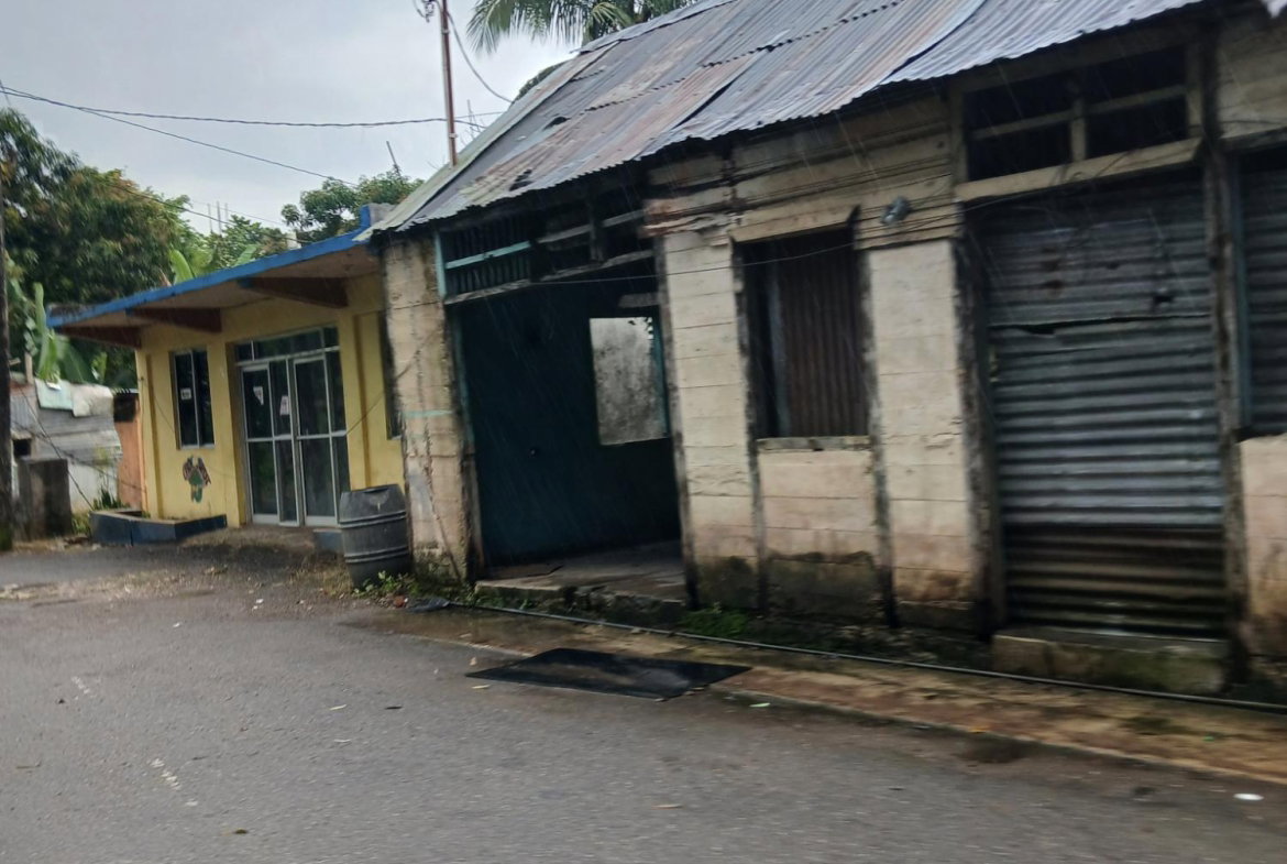 Fourth image of Ulster Spring in Albert Town, Trelawny, Jamaica - property is For Sale