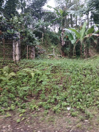 Fifth image of Ulster Spring in Albert Town, Trelawny, Jamaica - property is For Sale