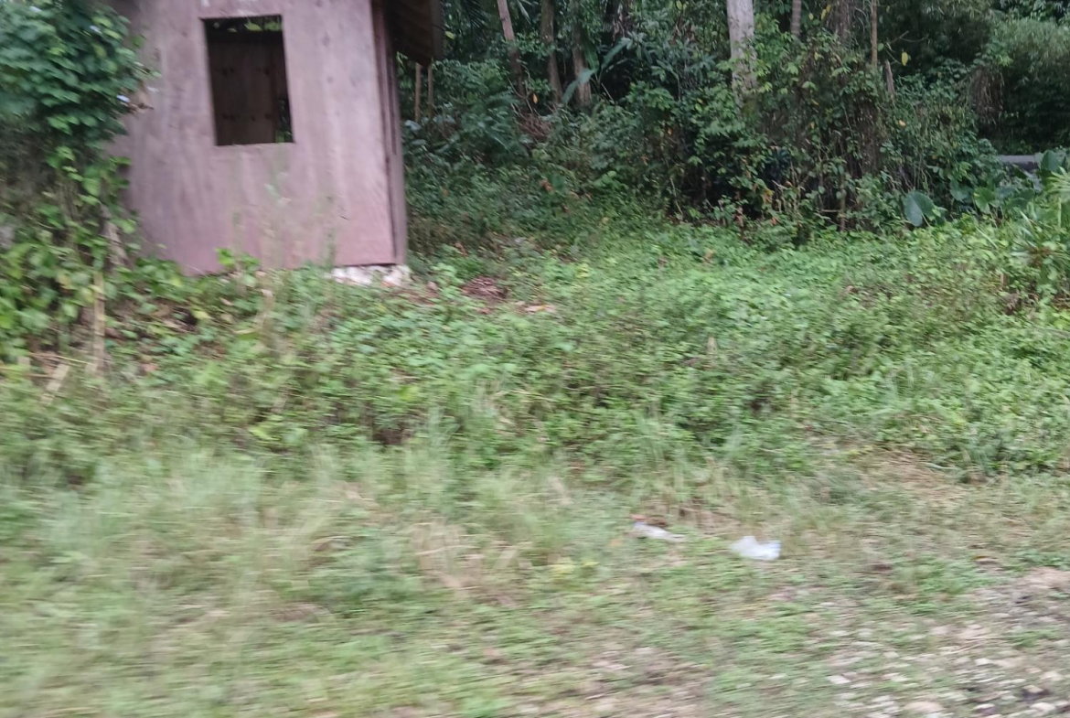 Sixth image of Ulster Spring in Albert Town, Trelawny, Jamaica - property is For Sale