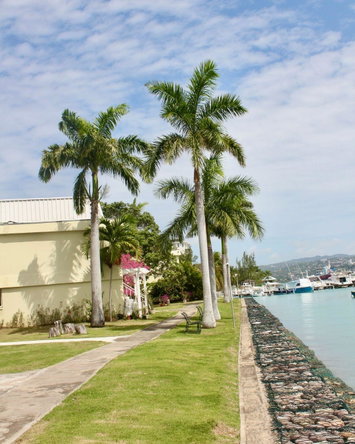 Twenty-Third image of L202- Sunset Drive in Montego Bay, St. James, Jamaica - property is For Rent