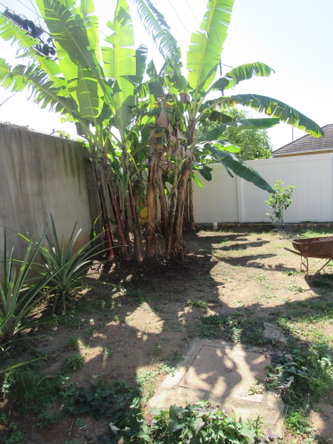 Eighteenth image of 32 Keystone Pines in Spanish Town, St. Catherine, Jamaica - property is For Rent
