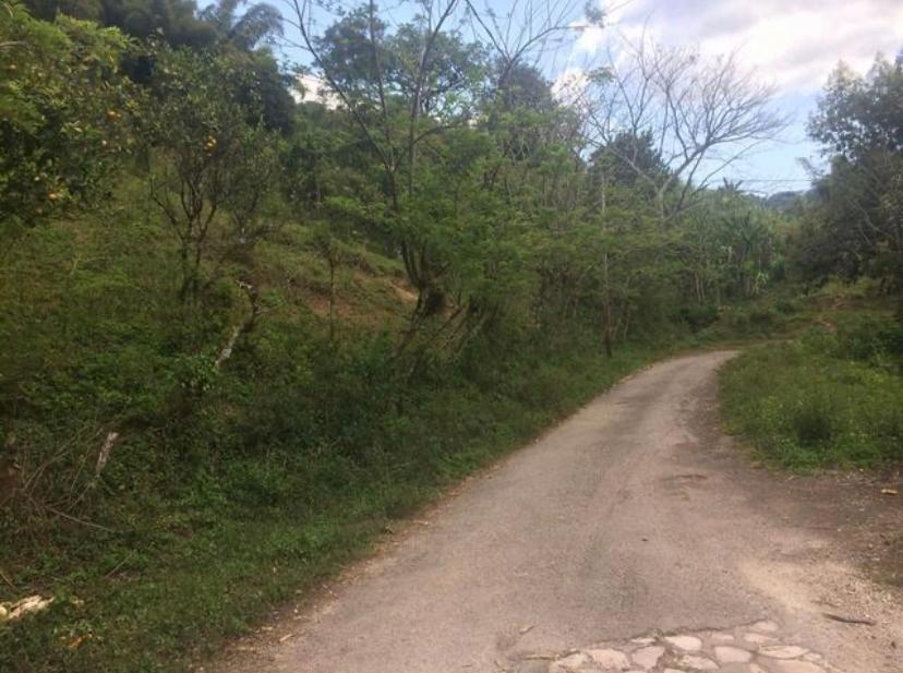 Second image of 875 Leicesterfield in Frankfield, Clarendon, Jamaica - property is For Sale