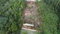 First image of Tamarind Road Santa Maria in Bamboo, St. Catherine, Jamaica - property is For Sale