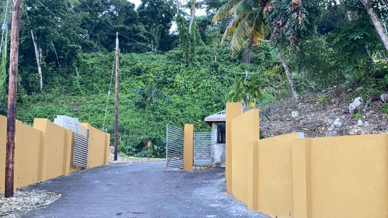 Fifth image of 14- Part of Farm Hill, st Mar in Content, St. Mary, Jamaica - property is For Sale