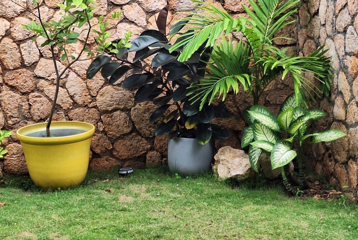 Twenty-Fifth image of 1-#1 Sterling Castle Heights r in Red Hills, St. Andrew, Jamaica - property is For Rent