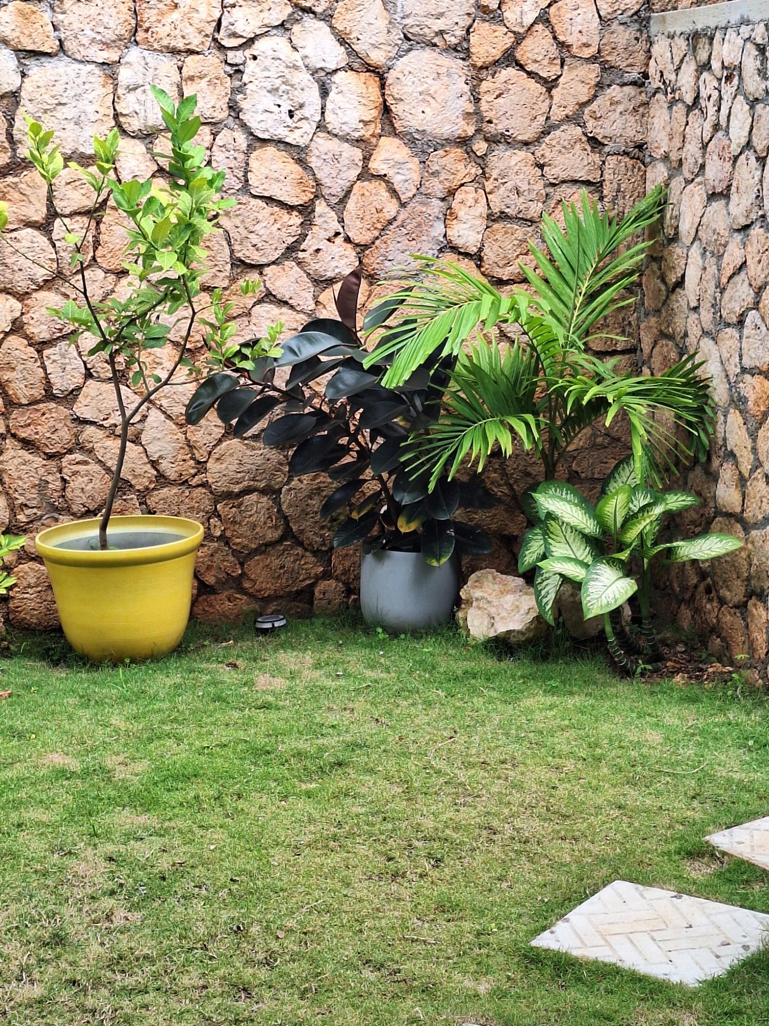 Twenty-Fifth image of 1-#1 Sterling Castle Heights r in Red Hills, St. Andrew, Jamaica - property is For Rent