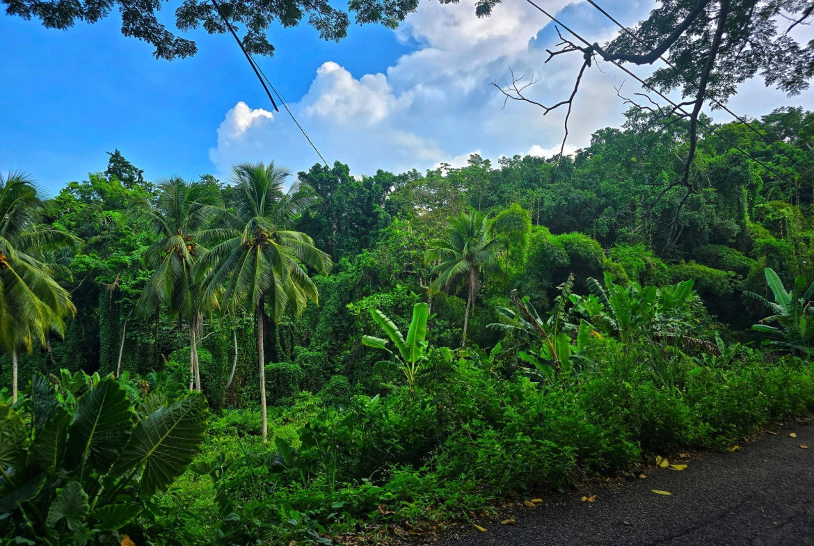 Second image of Richards Pen, st Mary in Gayle, St. Mary, Jamaica - property is For Sale