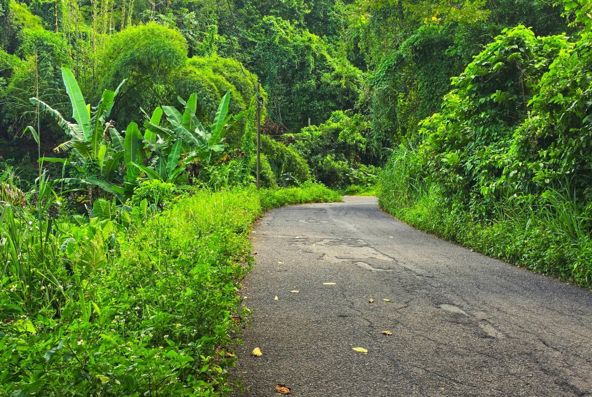 First image of Richards Pen, st Mary in Gayle, St. Mary, Jamaica - property is For Sale