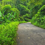 First image of Richards Pen, st Mary in Gayle, St. Mary, Jamaica - property is For Sale