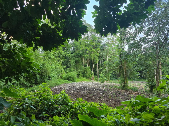 Sixth image of Richards Pen, st Mary in Gayle, St. Mary, Jamaica - property is For Sale