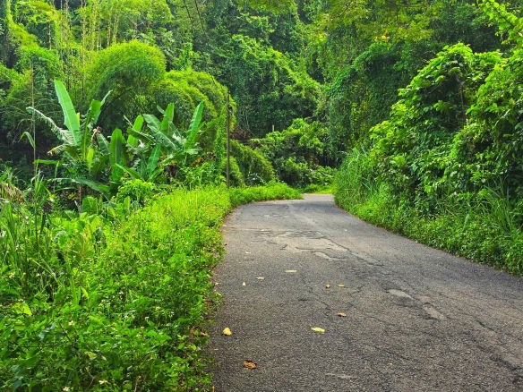 First image of Richards Pen, st Mary in Gayle, St. Mary, Jamaica - property is For Sale